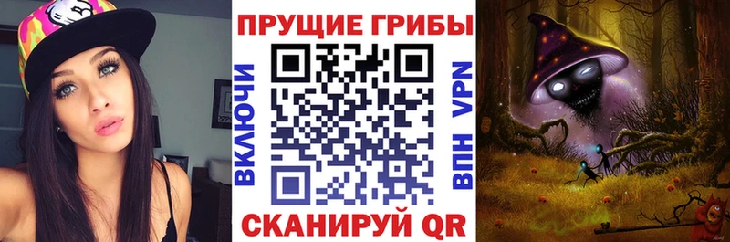Псилоцибиновые грибы Psilocybine cubensis  Купить где  Узловая 